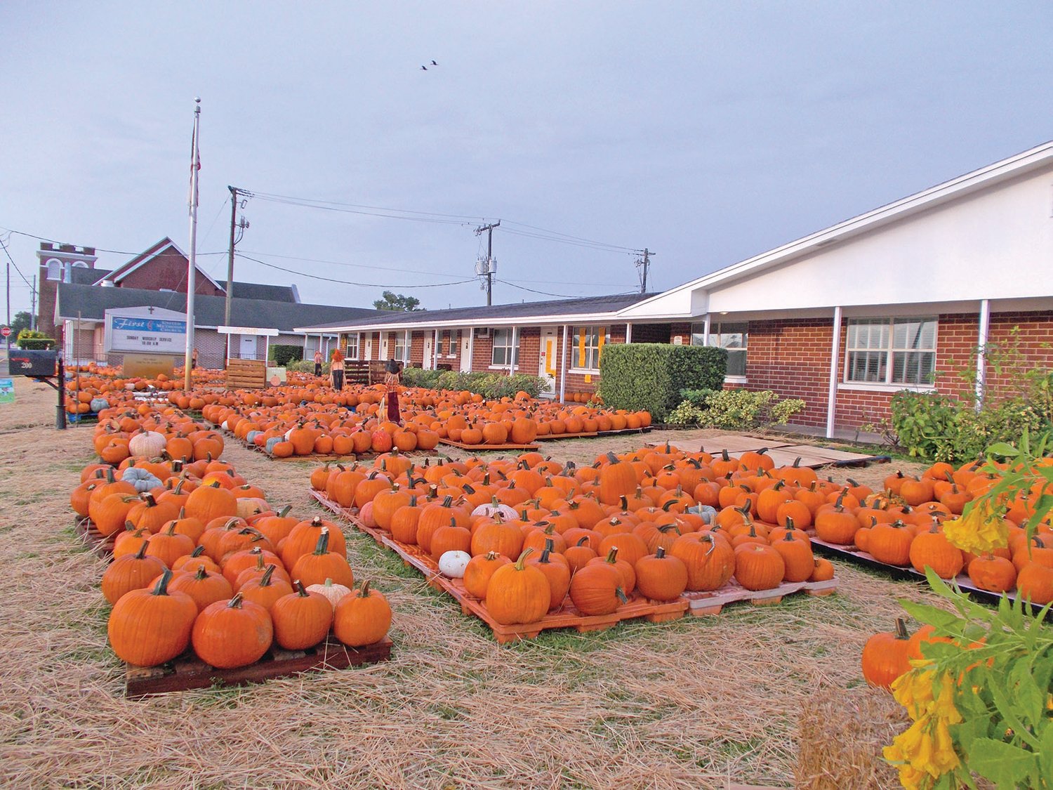 OKEECHOBEE — The pumpkin patch operates on the honor system. Prices for various sizes of pumpkins are posted. Choose your pumpkin and pay in the office if the church is open. If the office is closed, leave the money for the pumpkin in the drop slot.